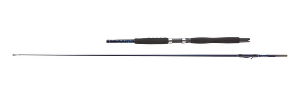 WĘDKA DEGA EXXPURE INLINER 230/15-25lbs