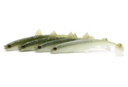 GUMY WESTIN HYPOTEEZ 6,5cm/4szt - GRASSHOPPER UV