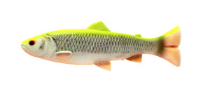82436 - SAVAGE GEAR GUMA 4D PULSETAIL TROUT 25cm/185g - LEMON CHUB FLUO