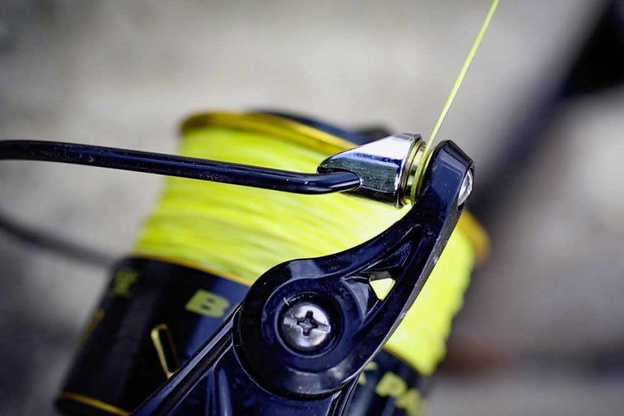 KOŁOWROTEK BLACK CAT BLACK PASSION FD 80