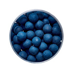 OPIUM MINI BOILIES SINKING GENLOG - HALIBUT 60ml