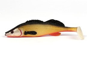 P139-155 - WESTIN GUMA ZANDER TEEZ - OFFICIAL ROACH