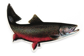 9118001 - JENZI NAKLEJKA WĘDKARSKA - ŁOSOŚ XL-22cm