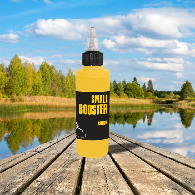 SMALL BOOSTER INVADER METHOD LINE 100ml - CITRUS