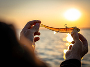 GUMA WESTIN TWINTEEZ PELAGIC RNR - LIGHT BAITFISH 21cm