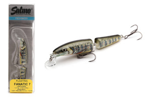 QIF007 - SALMO WOBLER FANATIC F 7cm - LAKE CHARR