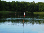 MARKER KARPIOWY TYCZKA 7m - CARP MARKER