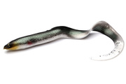 GUMA SAVAGE GEAR 3D REAL EEL - GREEN SILVER