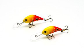 WOBLER GLOOG PARYS 40N L