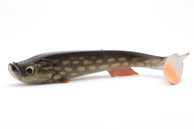 GUMA QUANTUM TARP SHAD 19cm - REAL PIKE