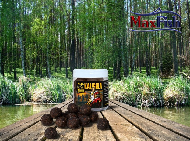 KULKI HACZYKOWE INVADER KALIGULA 250ml