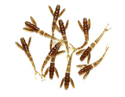 GUMA FISHUP FLIT 045-1,5"/41mm/10szt