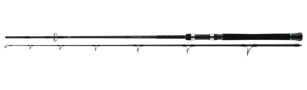 WĘDKA DAIWA POWERMESH CATFISH SPIN 245/-190g