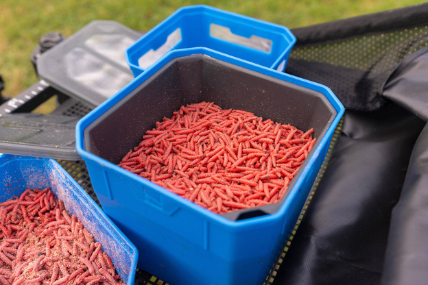 PUDEŁKO NA ŻYWE PRZYNĘTY PRESTON