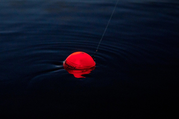 OSŁONA DEEPER DO NOCNEGO WĘDKOWANIA