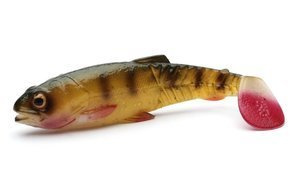 GUMA SAVAGE GEAR CRAFT CANNIBAL - PERCH